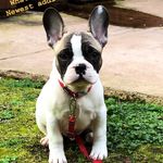 Theodore Hayes - @they_call_me_mr__t - Instagram