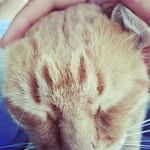 Theodore Hays - @theodore_hays - Instagram
