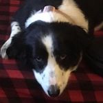 Theodore Henderson - @tedh_socialnerd - Instagram