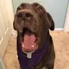 Hendrix - @hendrix_theodore - TikTok
