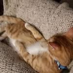 Theodore Herman - @theodoreherman - Instagram
