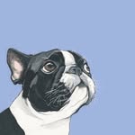 Theodore Hernández Cornejo - @theodore.rueditas - Instagram