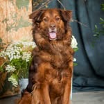 Theodore Roosevelt Hogan - @teddybear_hogan - Instagram