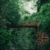 mrholttheodore - @mrholttheodore - TikTok