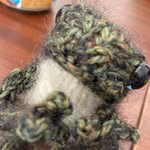 Mr. Theodore Hopper - @theodore.thefrog - Instagram