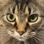 Theodore Hooper - Facebook