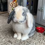 Theodore Hopper - @theodorehoppersigs - Instagram