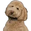 Theodore - @theodorehuey - TikTok