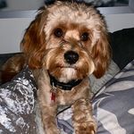 Theodore-Hudson Sunshine - @theodore_hudson_sunshine - Instagram