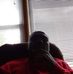 Theodore Huff - Facebook