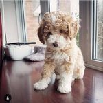 Theodore Ieuan Idris Hunt - @doodle.ted - Instagram
