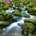 Theodore Jemming - Facebook