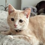 Mr Theodore Jenkins - @mr.theodorejenkins - Instagram