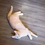 Theodore Jenkins - @theodorexjenkins - Instagram
