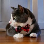 Theodore Jenkins - @teddletje - Instagram