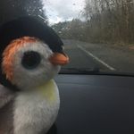 Whillie Theodore-Jenkins - @theodorejenkinswhillie - Instagram