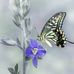 Theodore Kessler - Facebook