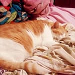 Rusty Khan - @rusty.theodore.khan - Instagram