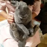 Theodore - @_theodorekhan - Instagram