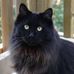 Theodore Kittelson - Facebook