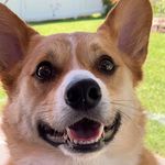 Theodore - @theodore_koch_ - Instagram