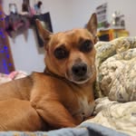 Rudolph Theodore Kopp - @rudolphtheodorekopp - Instagram