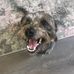 Teddy Leadbetter - Facebook