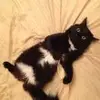 Theodore Lee - @theodore.lee2 - TikTok