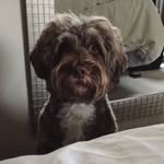 Theodore Lockwood - @teddy_lockwood - Instagram