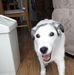 Ted Lomax - Facebook
