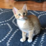 Theodore “Teddy” Lutz - @theodore_lutz - Instagram