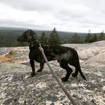 Theodore Malcolm & Cali Girl - @theodore_cali - Instagram