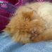 Teddy Mansfield - Facebook