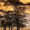 TheodoreMark834 - @theodoremark834 - TikTok