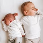 Theodore & Maxwell - @theodoreandmaxwell - Instagram