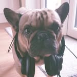 Theodore Max Stewart - @theo_stewart - Instagram