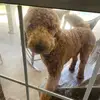 user9097061035787 - @max.theodore.20 - TikTok