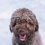 Theodore Maxwell - @theodoremaxwell31 - Instagram
