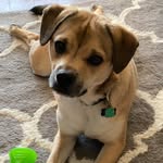 @theodore_maxwell_ - Instagram