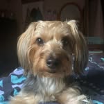 Theodore Maxwell ;) - @teddythabearr - Instagram