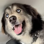 Theodore Maxwell Garza - @theomaxwell_ - Instagram