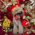 Theodore Maxwell (Teddy) B. 🧸 - @teddymbdadood - Instagram