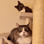 Theodore&Maxwell - @theodoremaxwellnh - Instagram