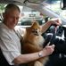 Theodore Mayer 'Mike' - Facebook