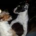 Theodore Mayes - Facebook