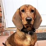 Theodore - @theodorethemayor - Instagram