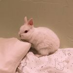 Theodore Mayo - @theodoremayo_ - Instagram