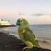 Theo Mcclure - Facebook