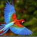 Theodore McClure - Facebook