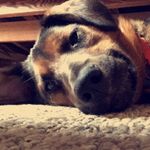 Theodore Moon - @theodore.moon - Instagram